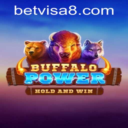 Discover Buffalo Power and BetVisa
